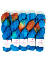 Party Bus Shadow Assigned Pooling - Baah Yarn Aspen