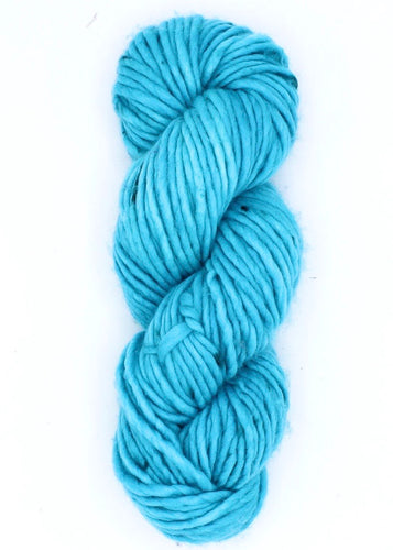 Skinny Dippin' Baah Yarn Sequoia