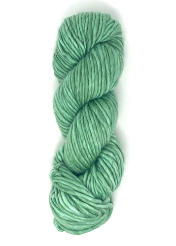 Mint to Be Baah Yarn Sequoia