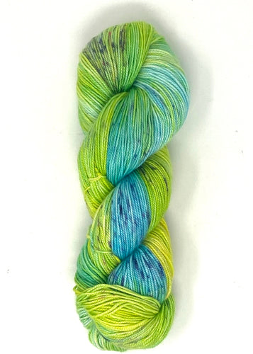 California Coast - Baah Yarn Aspen